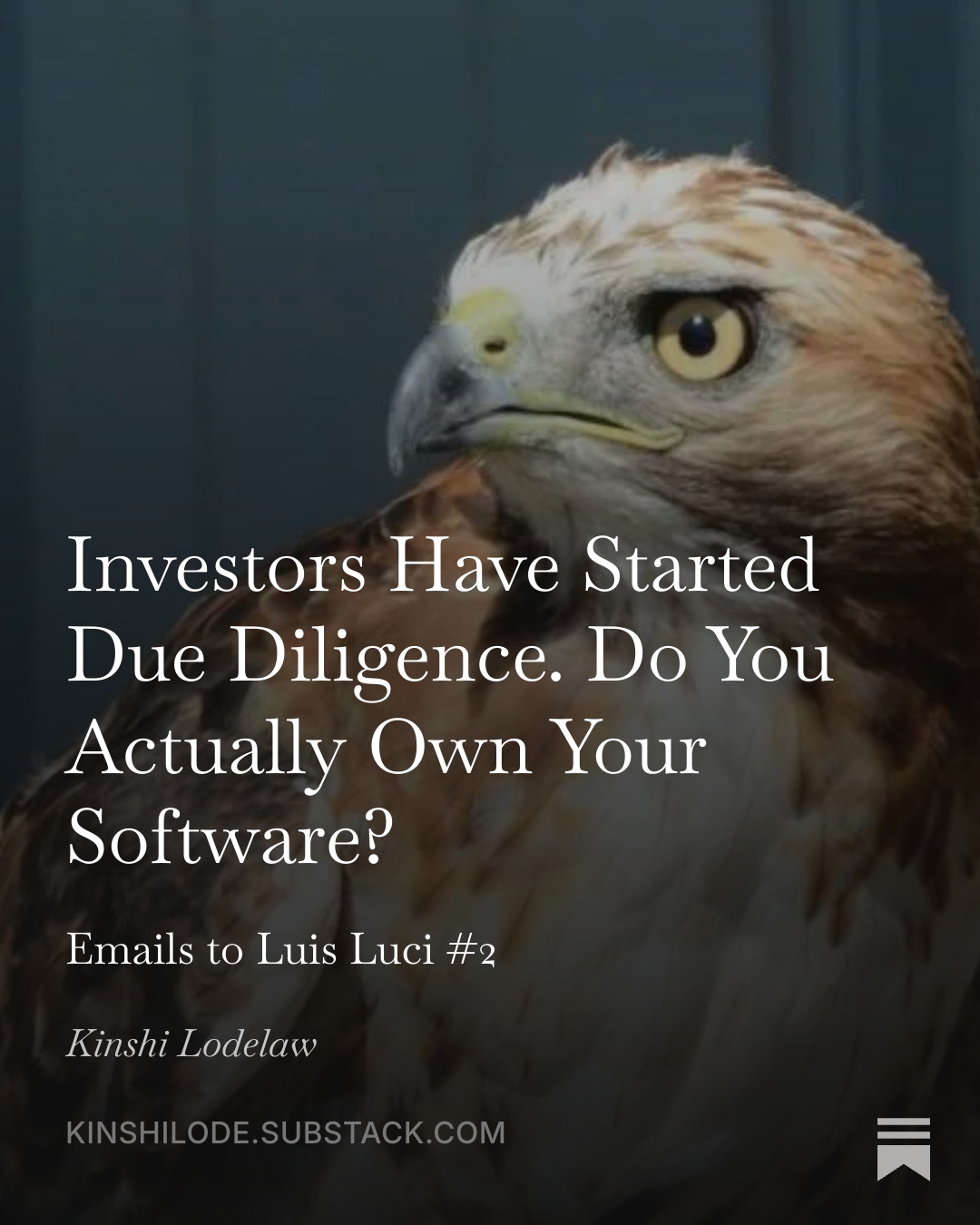 kinshi (square) investors have started due dil